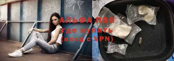 кокс Белокуриха