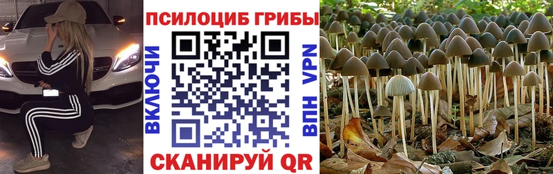 Галлюциногенные грибы Cubensis Демидов