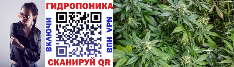 дарнет шоп  Демидов  Шишки марихуана AK-47 
